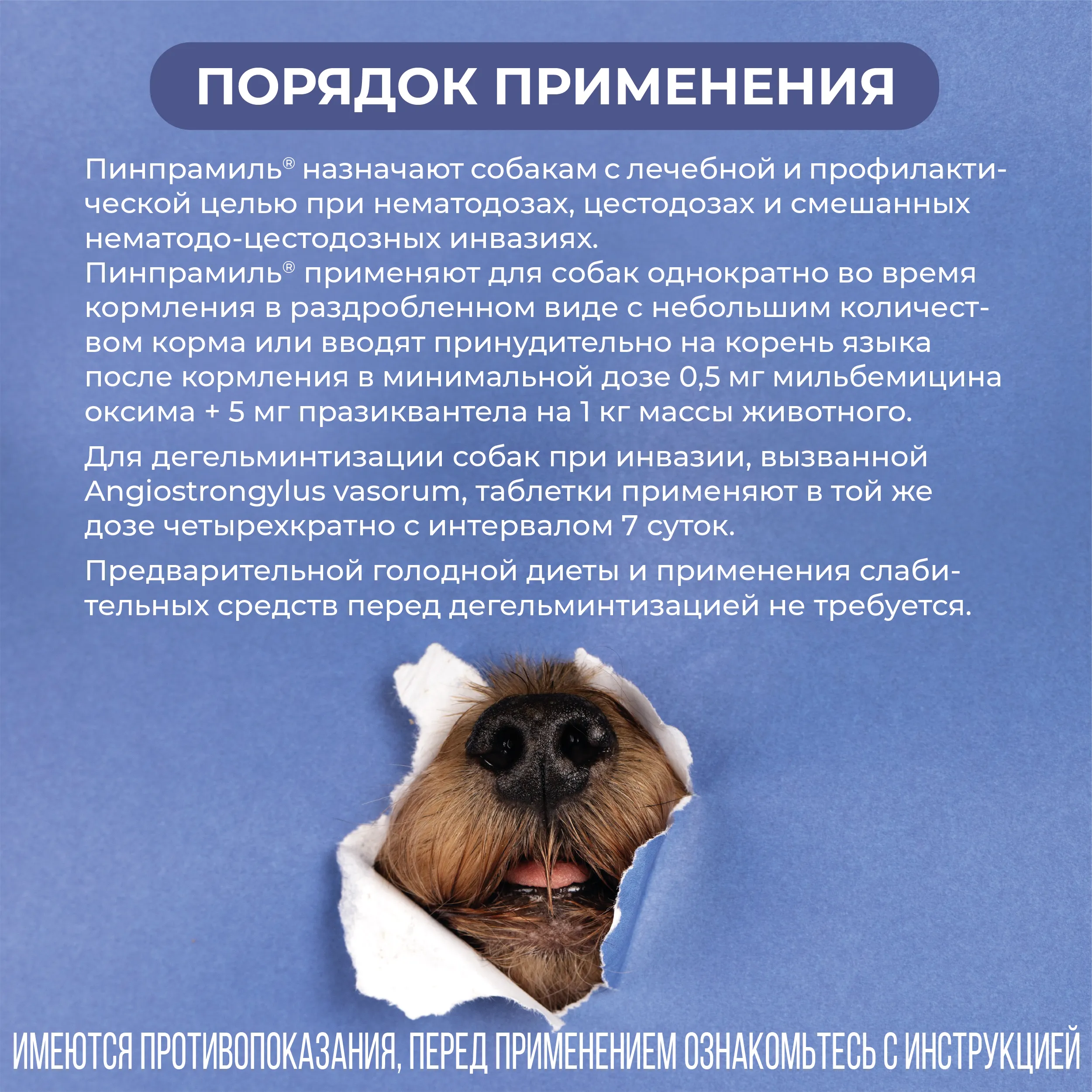 VIC Пинпрамиль® 12,5мг/125мг, для  крупных собак, коробка 4 табл.