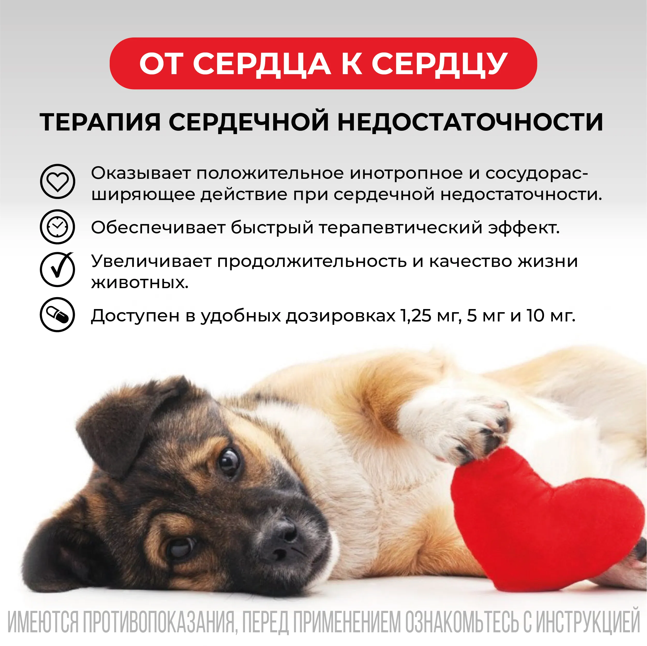 VIC Авекардит® 10 мг для собак, коробка 28 табл.