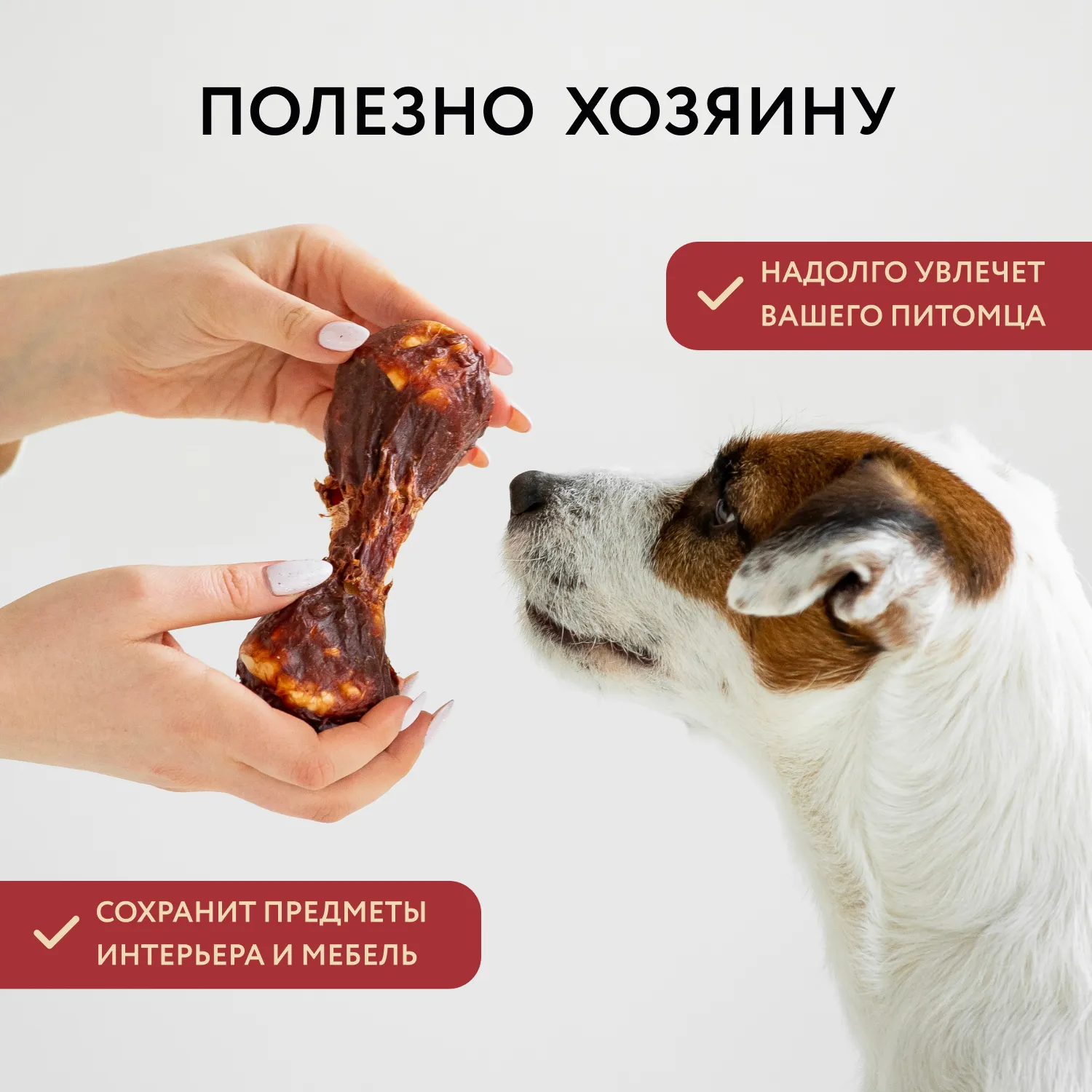 Лакомство Мнямс Деликатес Пармская косточка для собак размер S 35 г