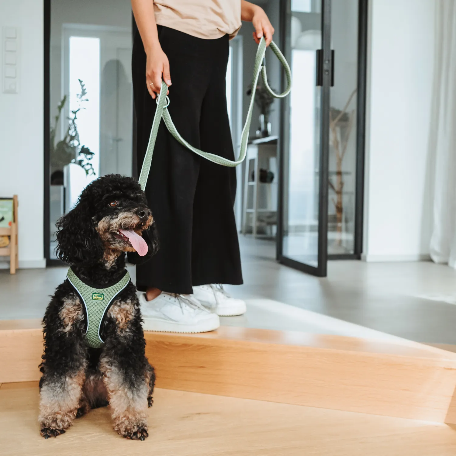 Hunter поводок-перестежка для собак Hilo 15 / 200 нейлон оливковый СКИДКА 50%