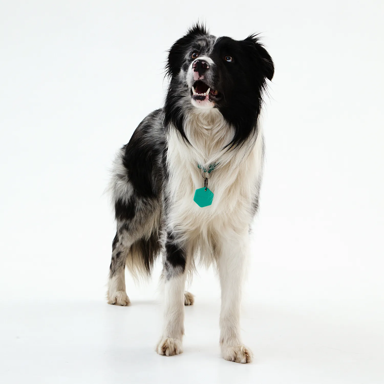 Умный трекер Kaspersky Tag с силиконовым чехлом