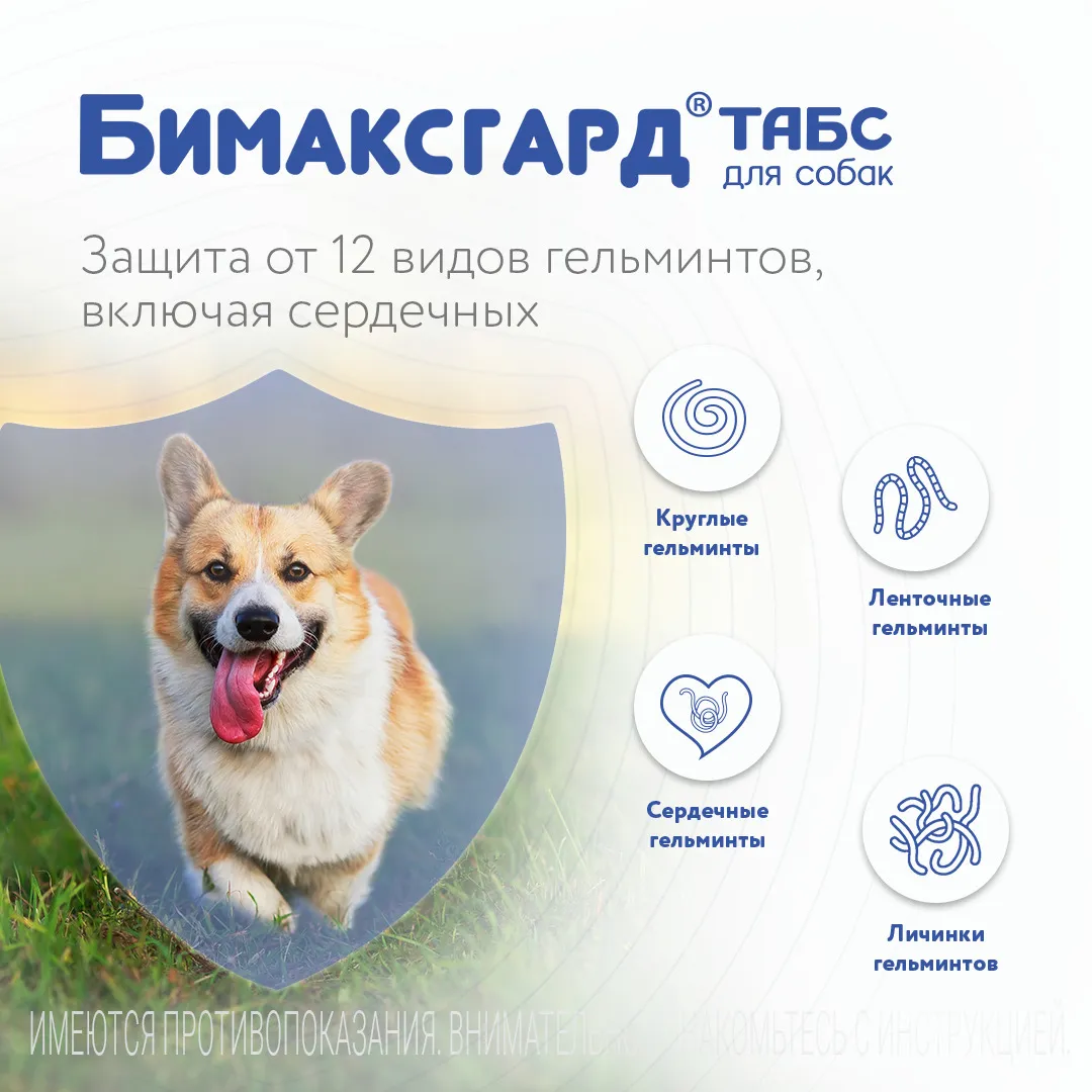 Бимаксгард® ТАБС антигельминтный препарат для крупных собак, 2 таб.