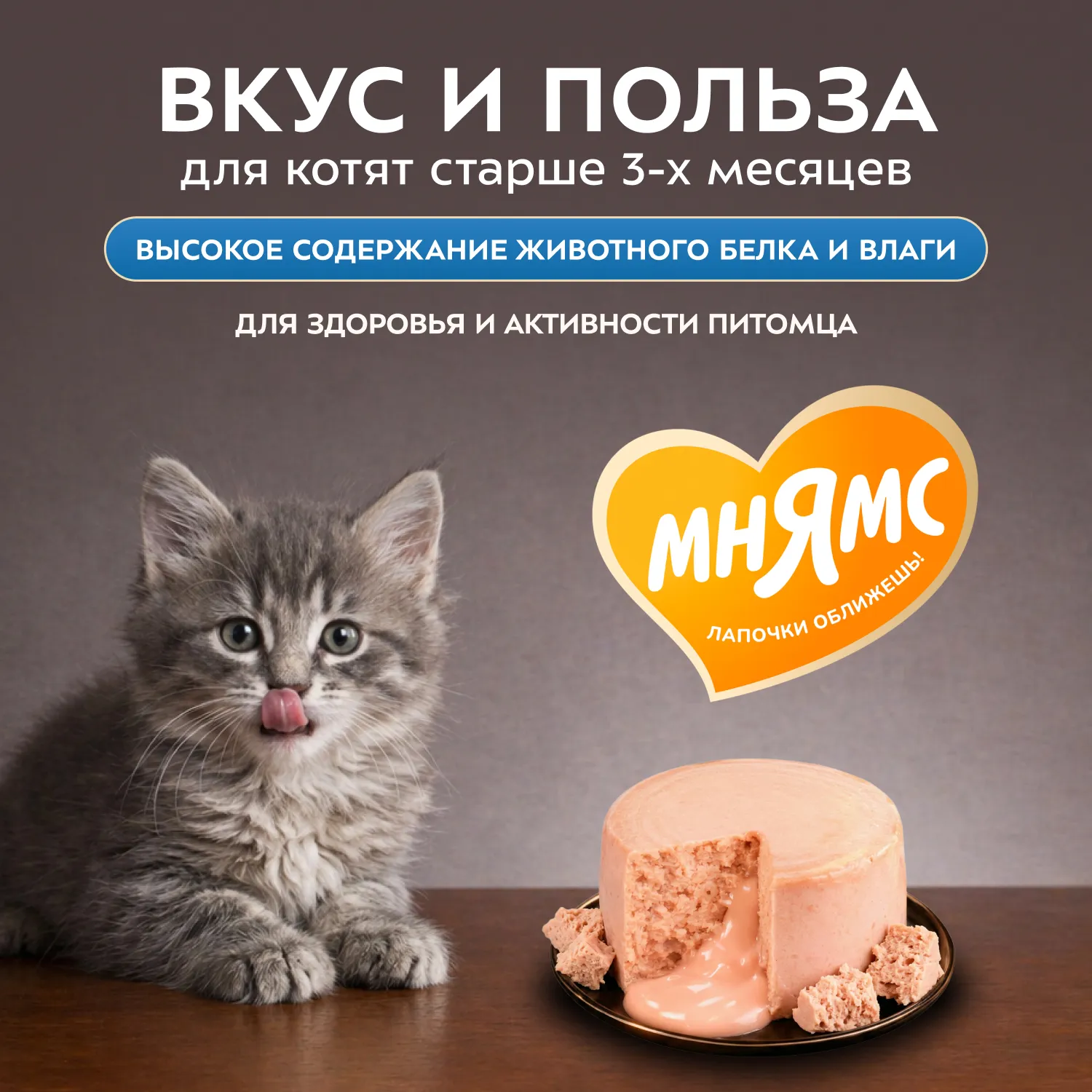 Влажный корм Мнямс Деликатес "Фондан" из мяса курицы с козьим молоком для котят старше 3 месяцев 80 г