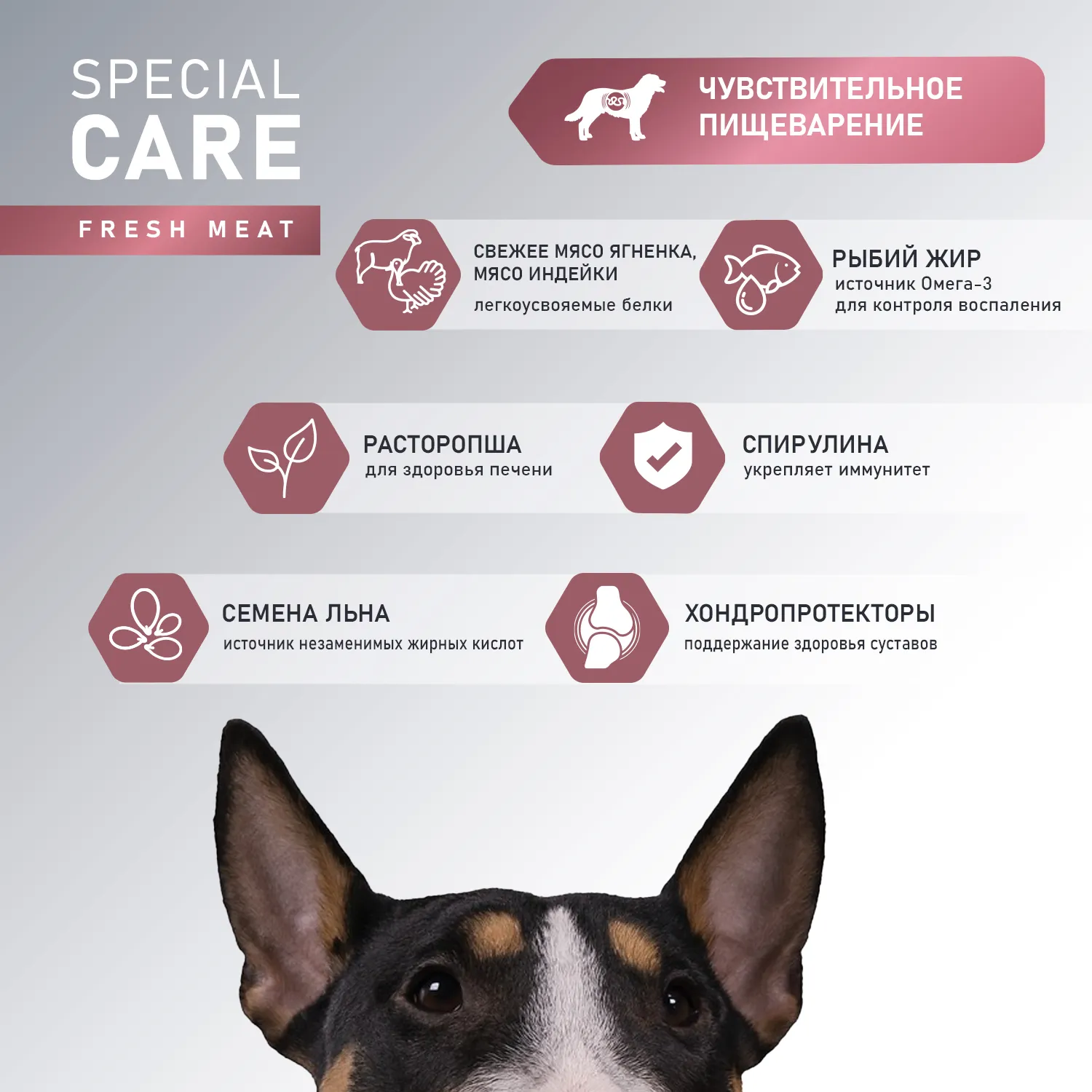 Сухой корм AWARD SPECIAL CARE Sensitive Digestion для взрослых собак всех пород с чувствительным пищеварением со свежим мясом ягненка 2кг