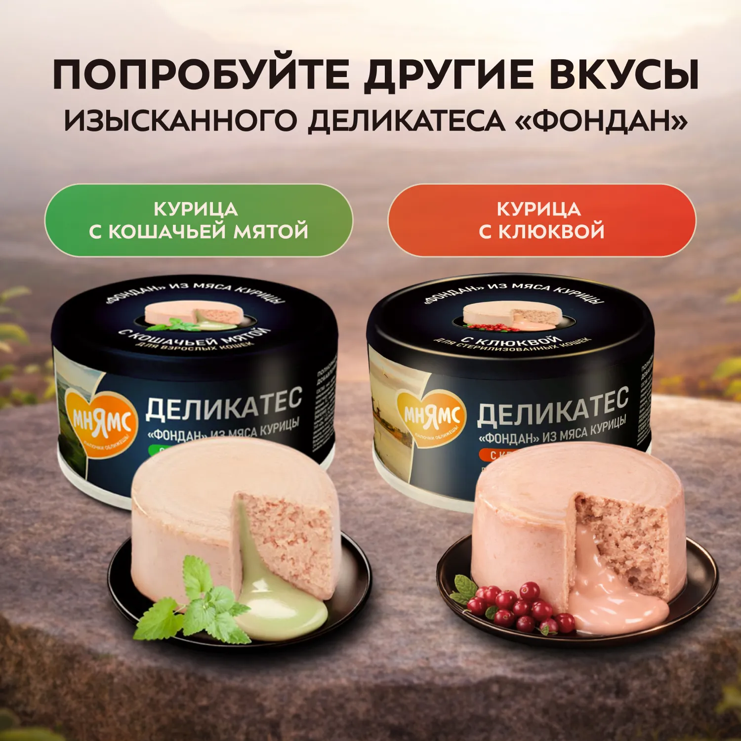 Влажный корм Мнямс Деликатес "Фондан" из мяса курицы с маслом криля для кошек 80 г