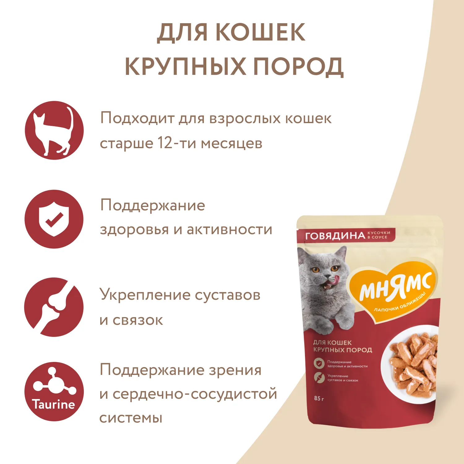 Влажный корм Мнямс На каждый день Кусочки в соусе с говядиной для крупных кошек 85 г