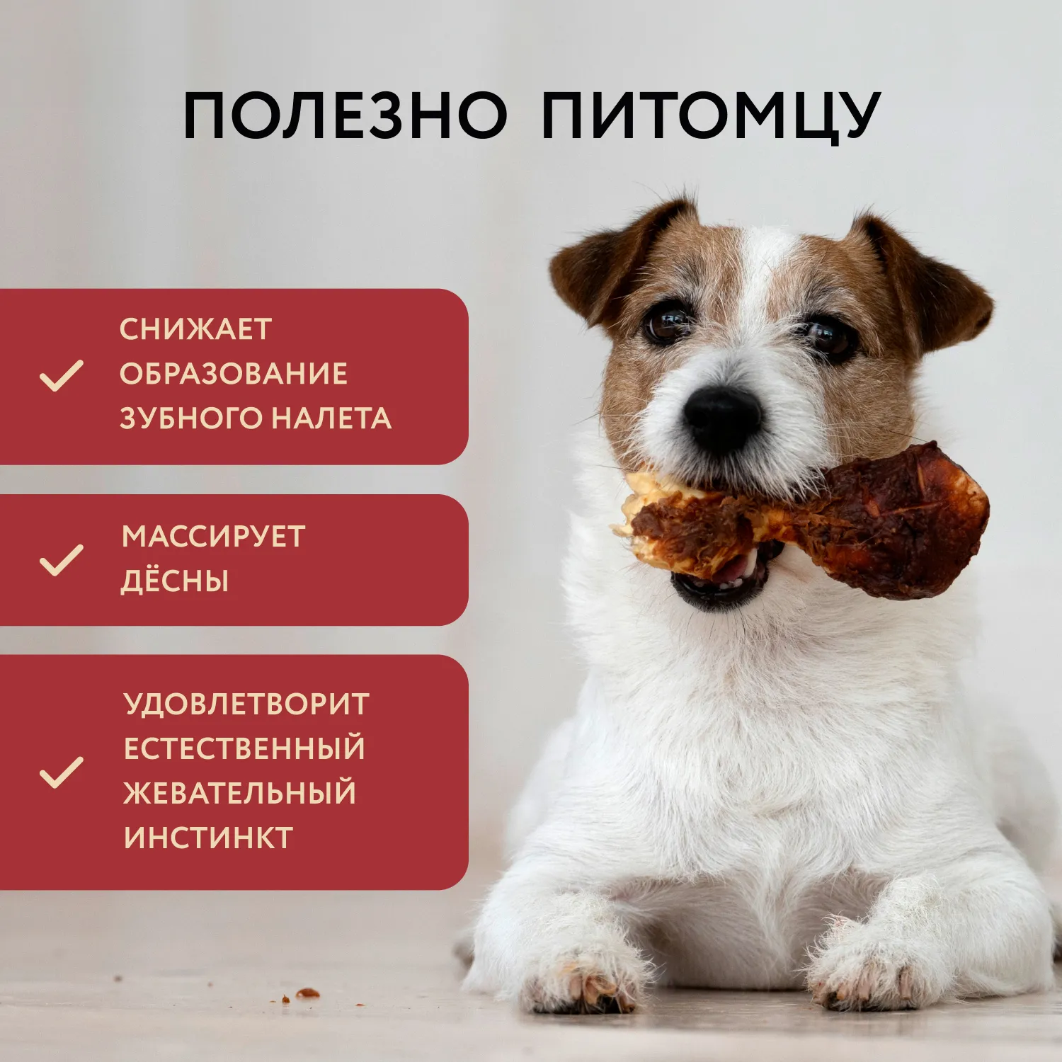 Лакомство Мнямс Деликатес Пармская косточка для собак размер S 35 г