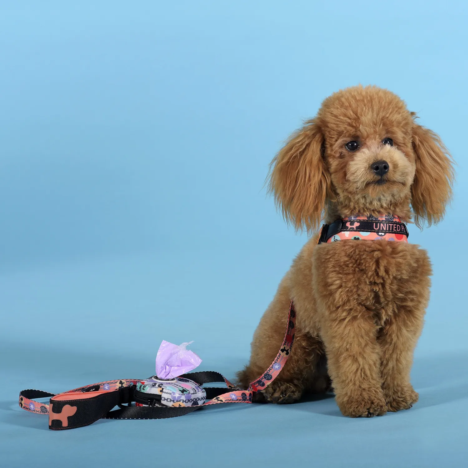 Шлейка United Pets для собак Complete me Forever 3,5 x 48-64 см, оранжевая с рисунком СКИДКА 30%