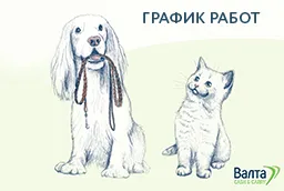 График работы в новогодние праздники График работы в новогодние праздники