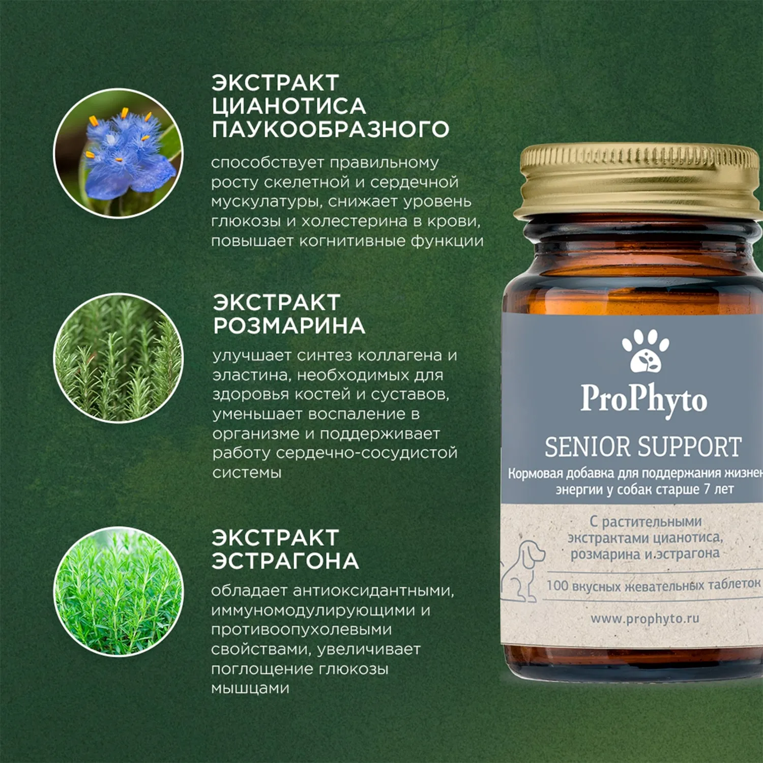ProPhyto Сеньор Саппорт, 100 таблеток
