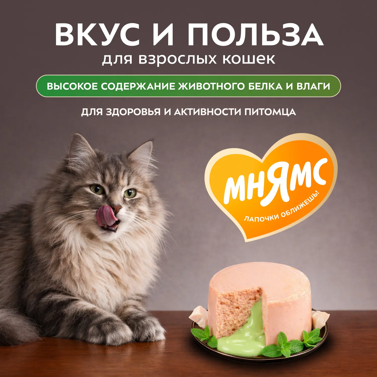 Влажный корм Мнямс Деликатес "Фондан" из мяса курицы с кошачьей мятой для кошек 80 г