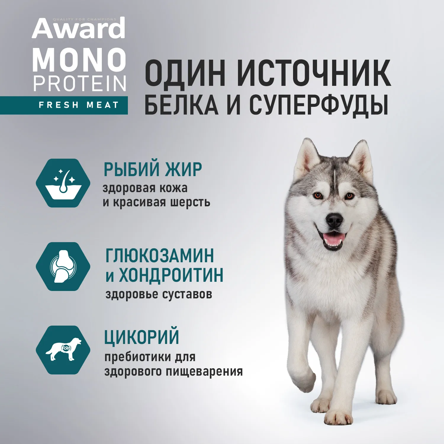 Влажный корм AWARD Monoprotein для взрослых собак паштет из индейки с цукини 100г