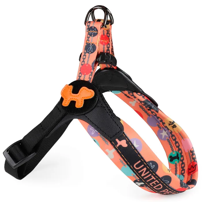 Шлейка United Pets для собак Complete me Forever 2,5 x 40-54 см, оранжевая с рисунком