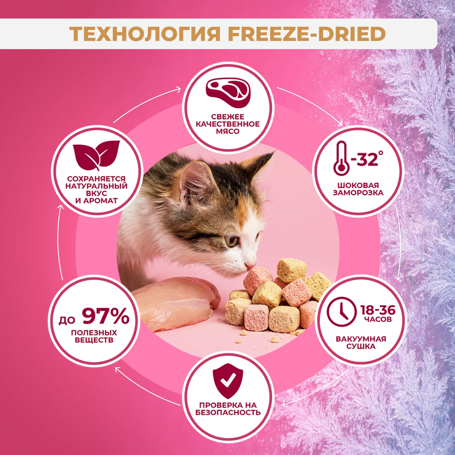 Полнорационный сухой (сублимированный) корм Ranova CN для котят с курицей, 6 г