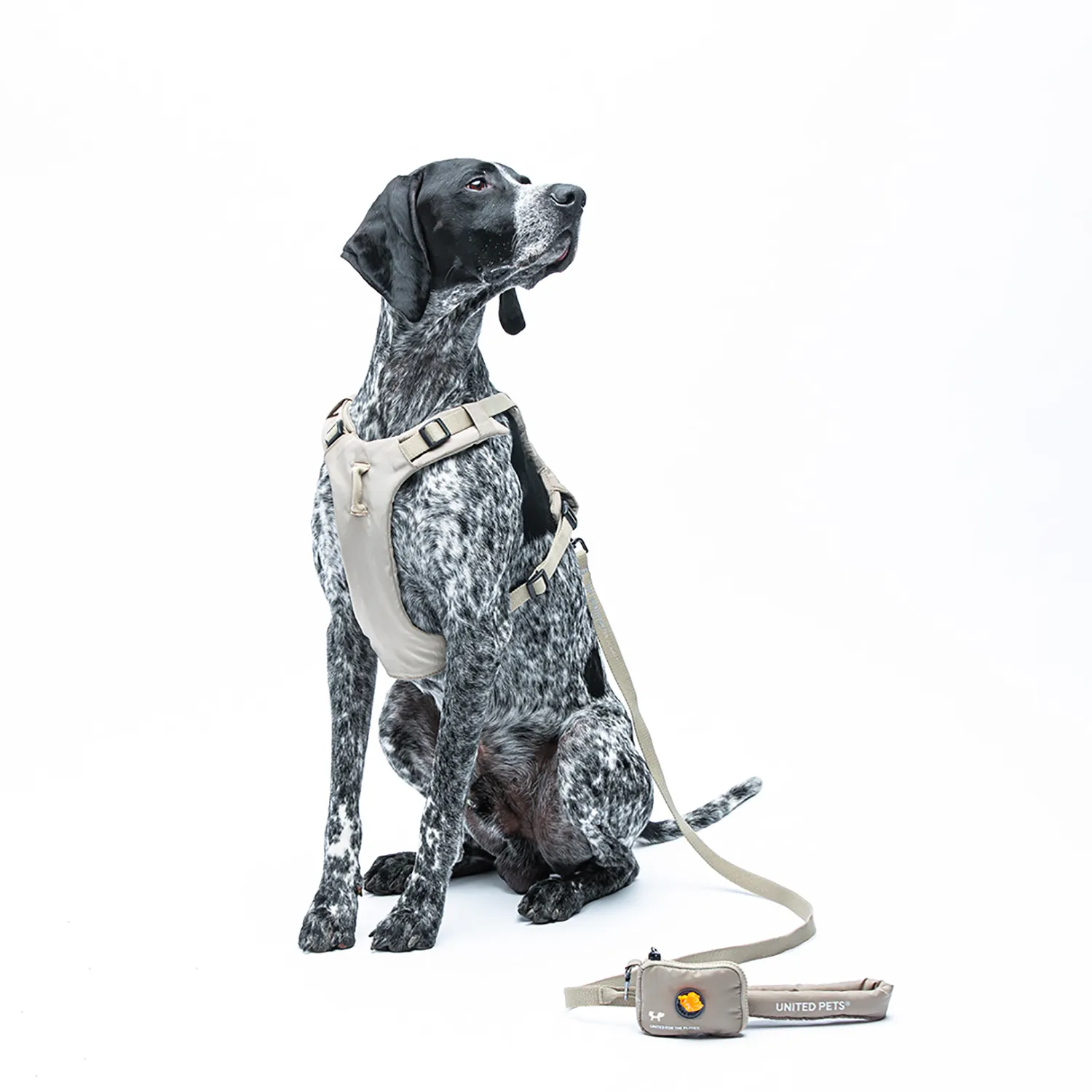 Шлейка United Pets для собак Citylife Y-образная S 15 x 45-60, бежевый