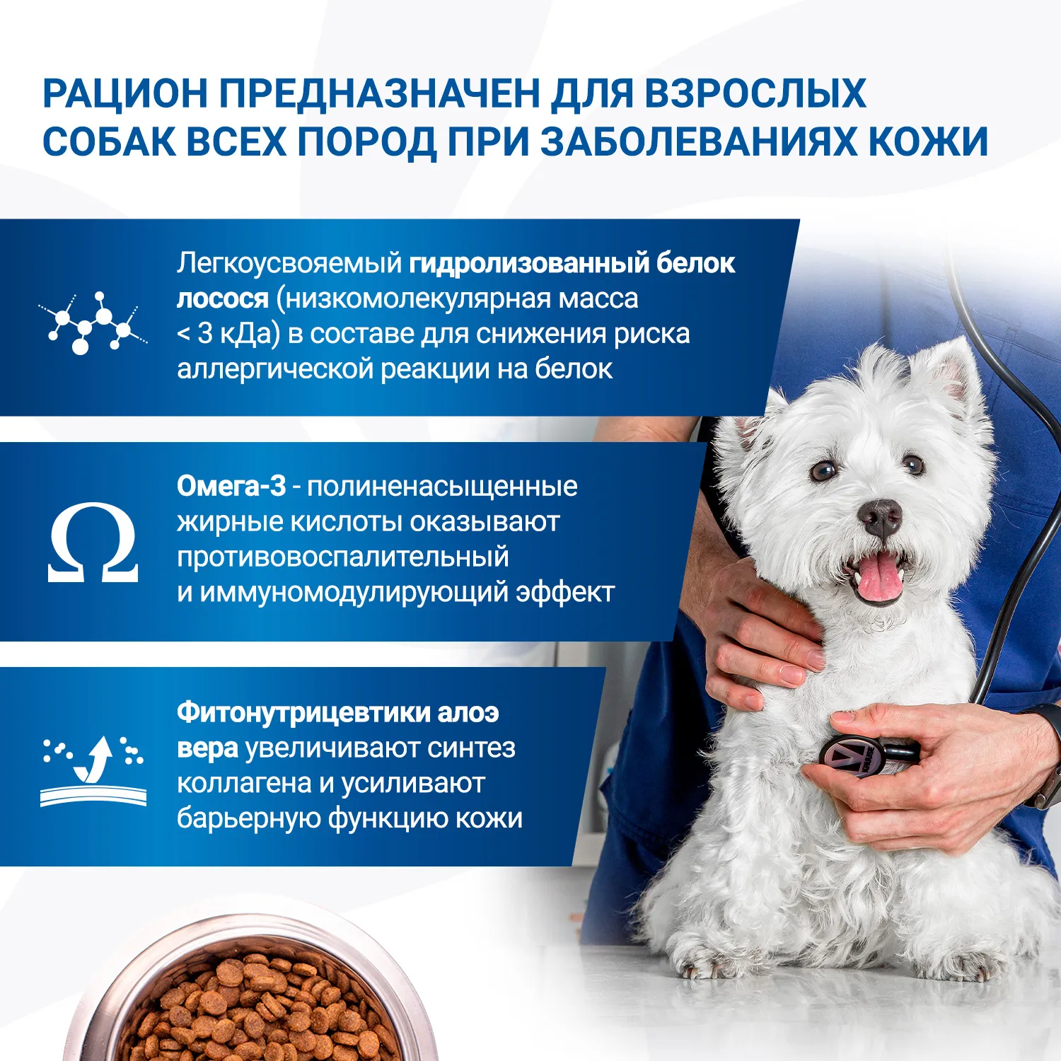 Диетический корм Monge VetSolution Dog Dermatosis Дерматозис для собак при заболеваниях кожи 12 кг