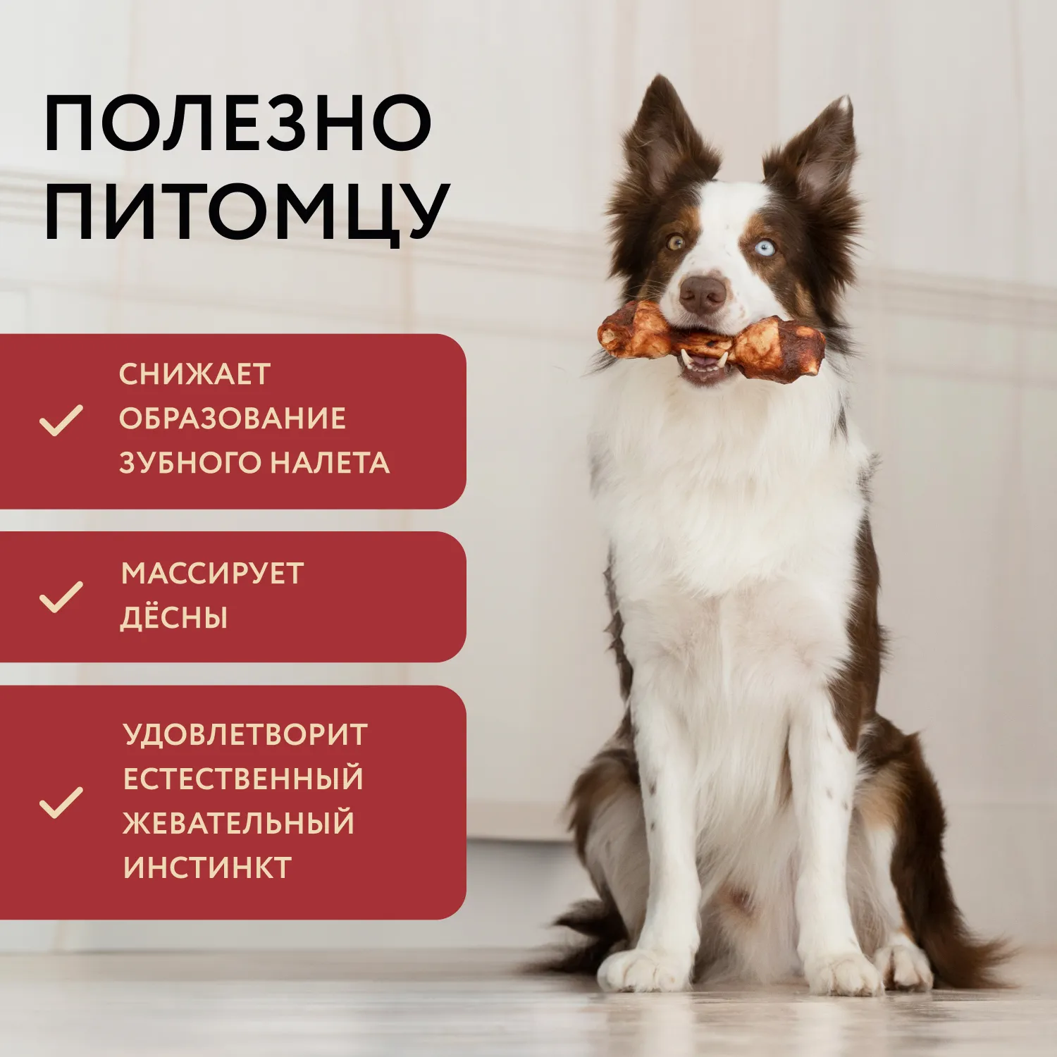 Лакомство Мнямс Деликатес Пармская косточка для собак размер L 45 г