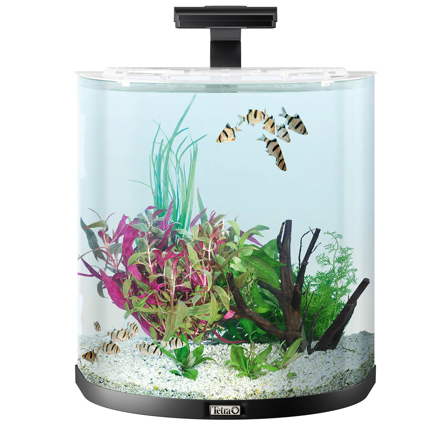 Tetra AquaArt Explorer Line LED 60 л - аквариумный комплекс "Полумесяц" СКИДКА 40%