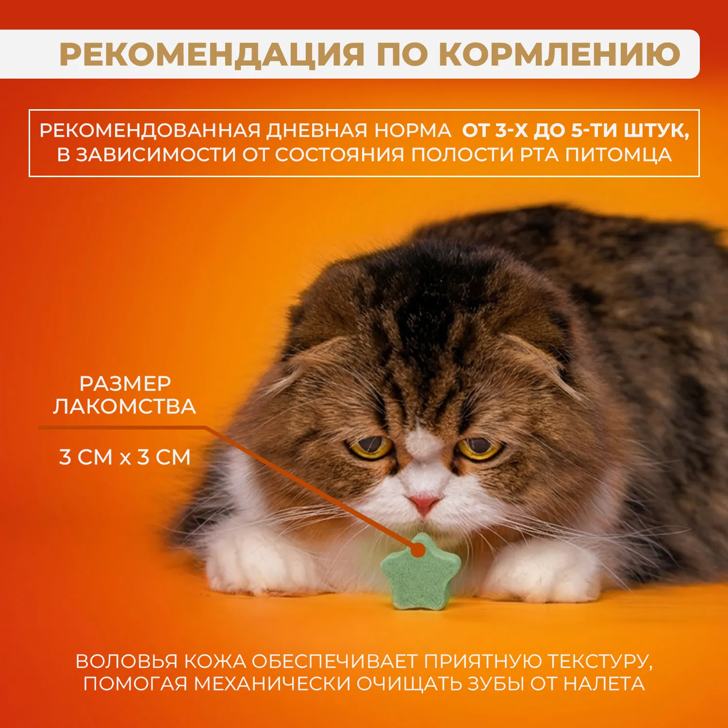 Лакомство Ranova для кошек сублимированное Звёздочка для зубов с курицей и ячменем, 36 г
