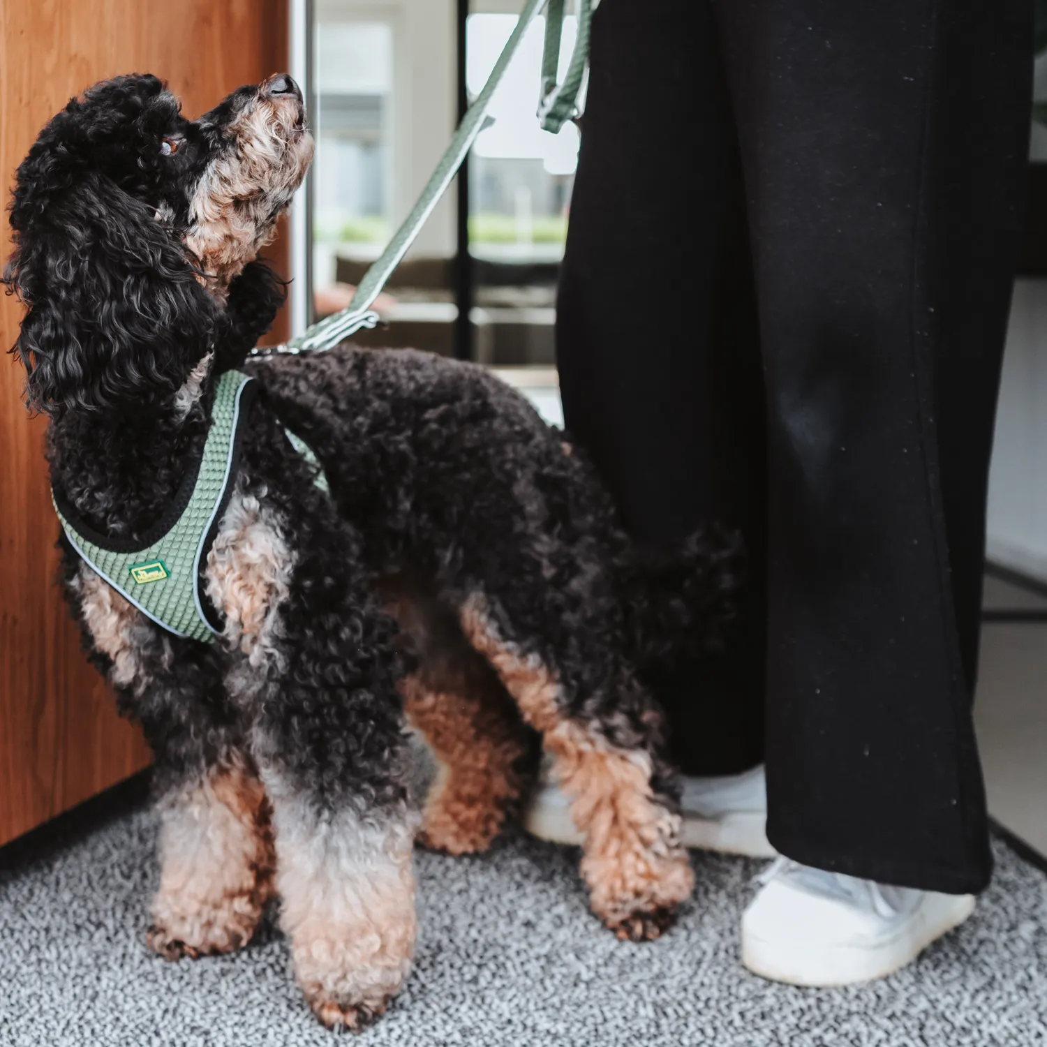 Hunter поводок-перестежка для собак Hilo 15 / 200 нейлон оливковый СКИДКА 50%