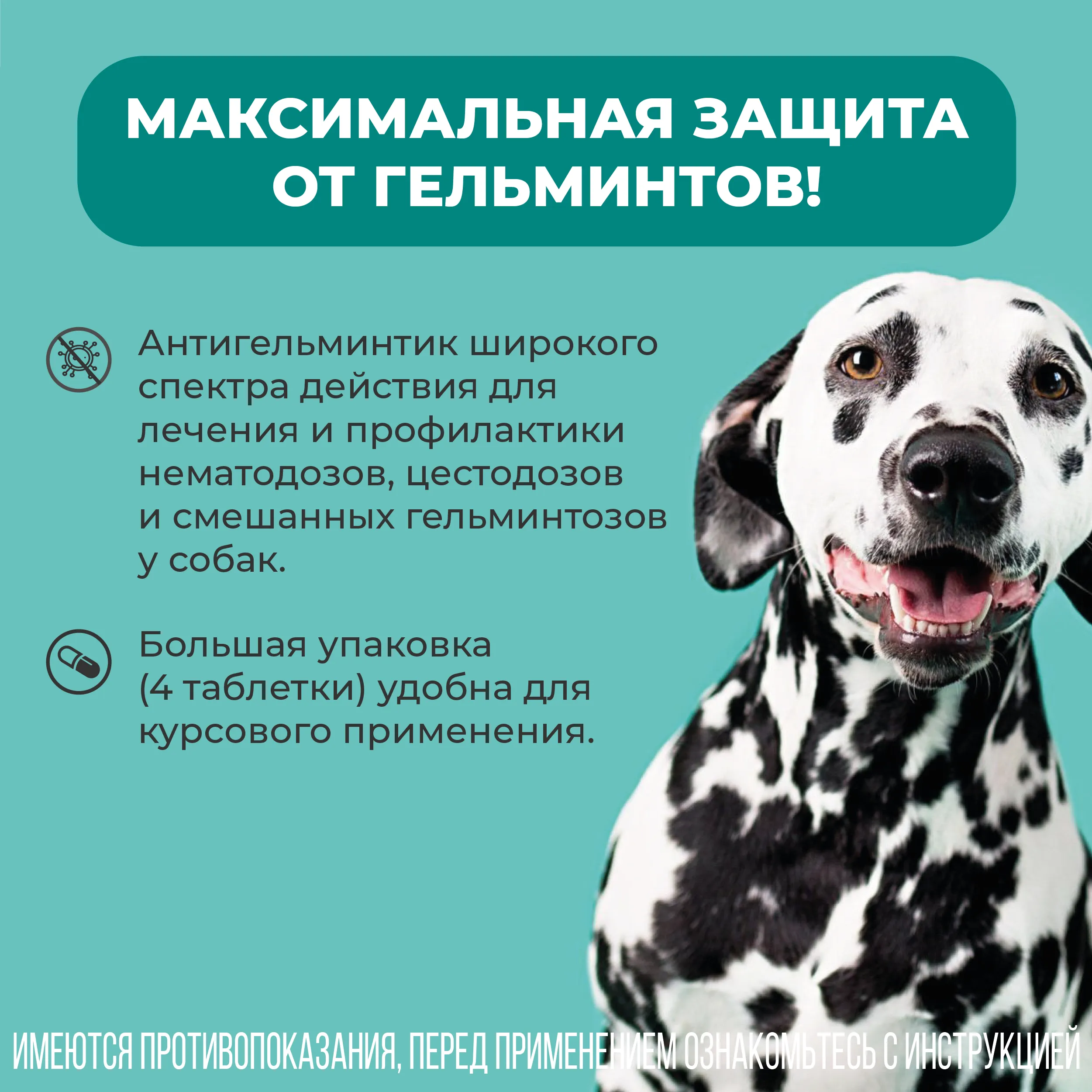 VIC Пинпрамиль® 12,5мг/125мг, для  крупных собак, коробка 4 табл.