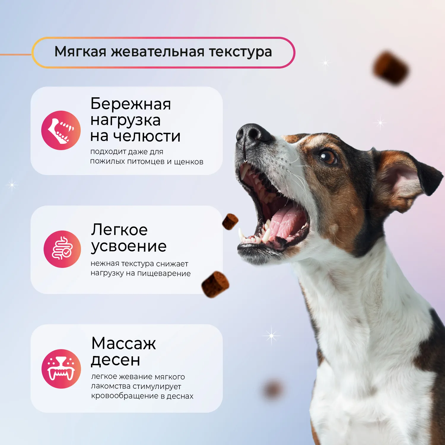 Favet Функциональное лакомство SuperFlora Soft Chews для пищеварительной системы для собак, 120г