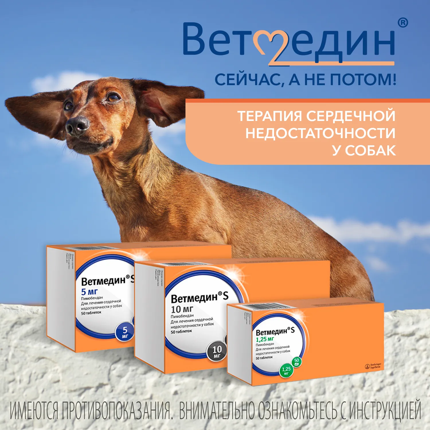 BI Ветмедин® S 1.25 мг – жевательные таблетки для лечения сердечной недостаточности у собак, 50 таб.