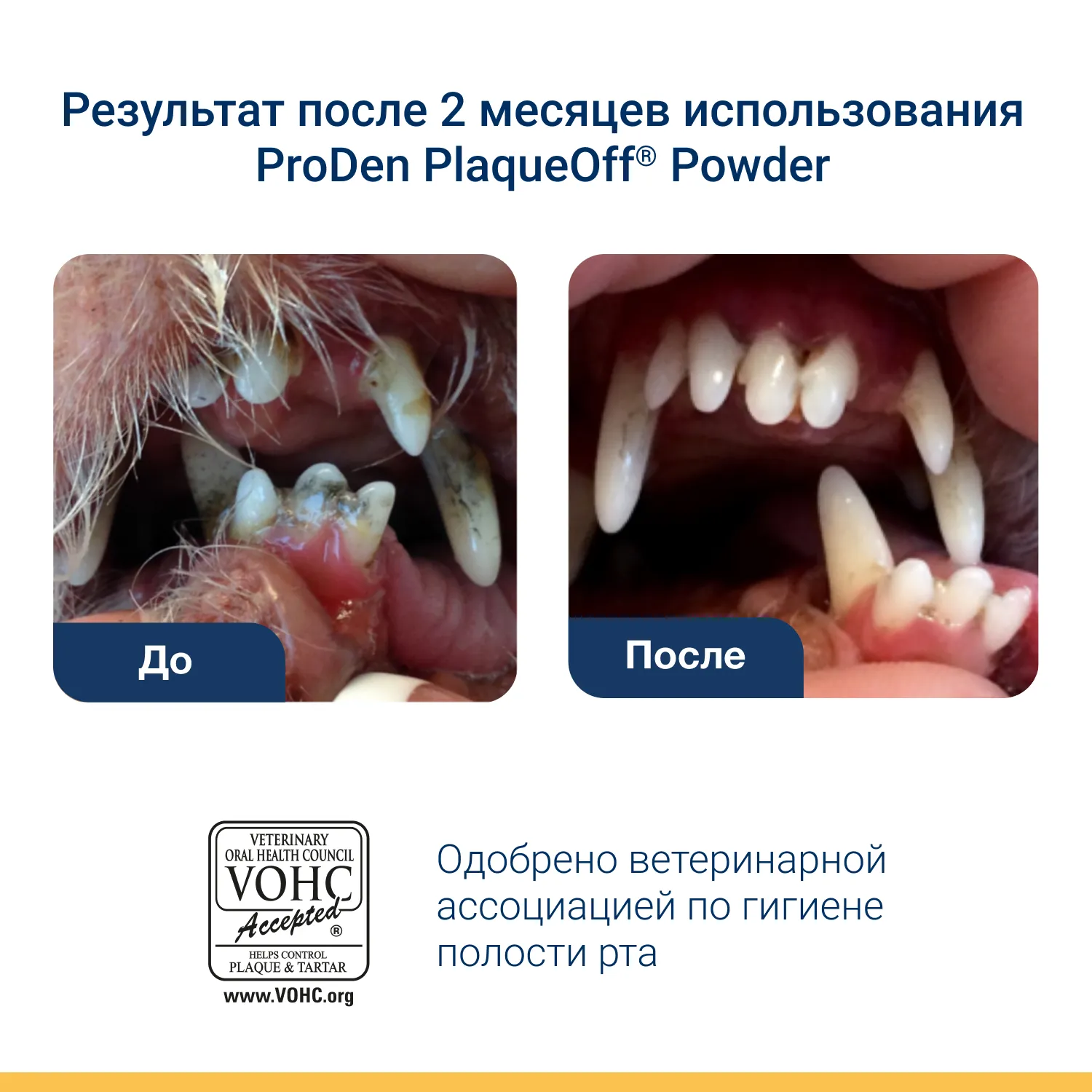 ProDen PlaqueOff средство для профилактики зубного камня у кошек 40 г