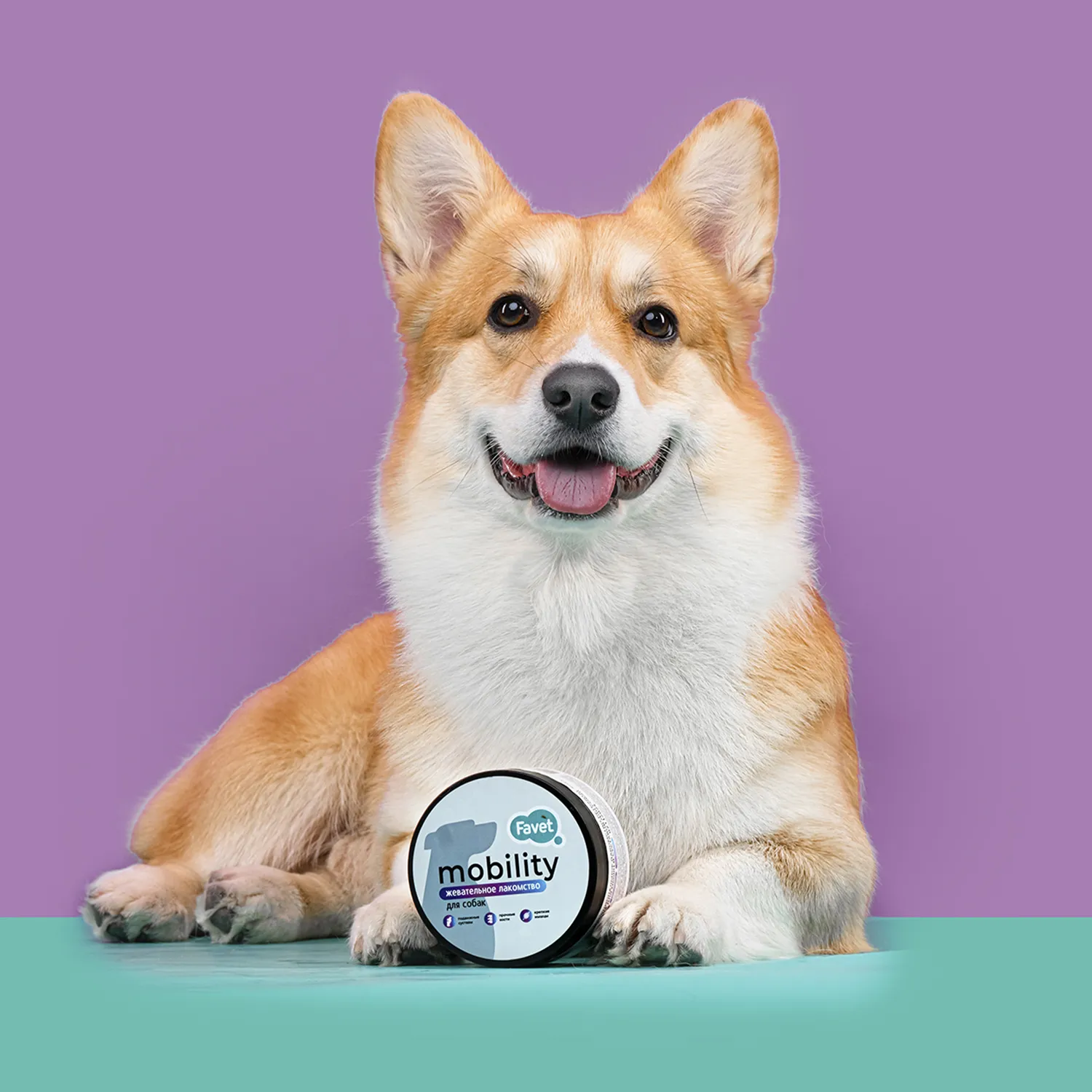 Favet Функциональное лакомство PetPantel Soft Chews для мышц и суставов для собак, 120г