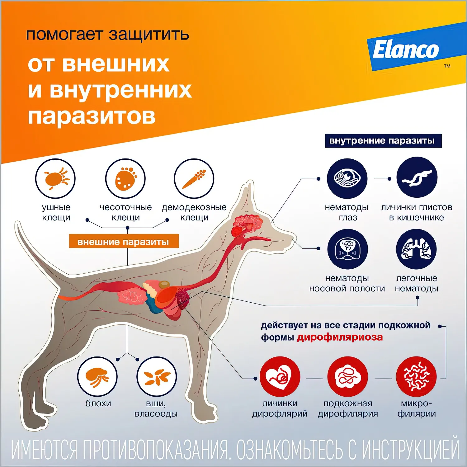 Bayer Адвокат 250 капли для собак 10-25 кг от чесоточных клещей, блох и гельминтов (3 пипетки х 2,5 мл)