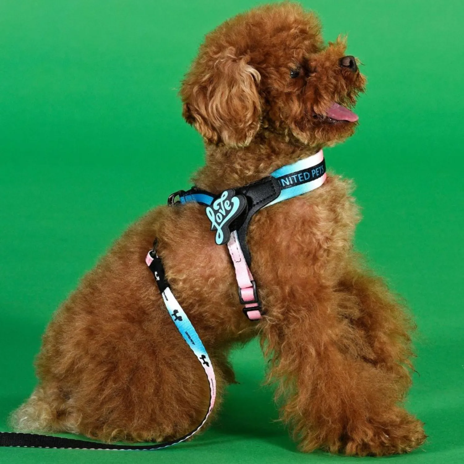 Шлейка United Pets для собак Complete me 3.5 - XL 48-64, розово-голубой тай-дай СКИДКА 30%