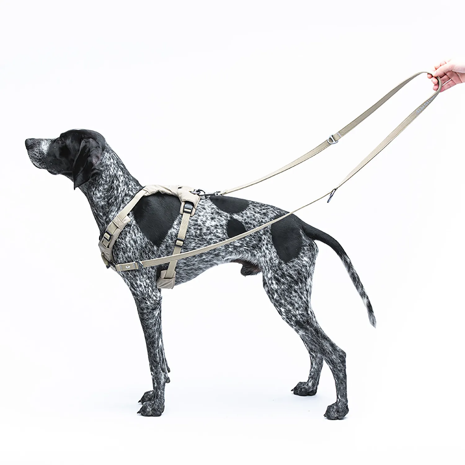 Поводок-перестежка United Pets для собак Citylife 2 х 200 см бежевый