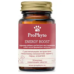 ProPhyto Энерджи Буст, 30 таблеток ProPhyto Энерджи Буст, 30 таблеток