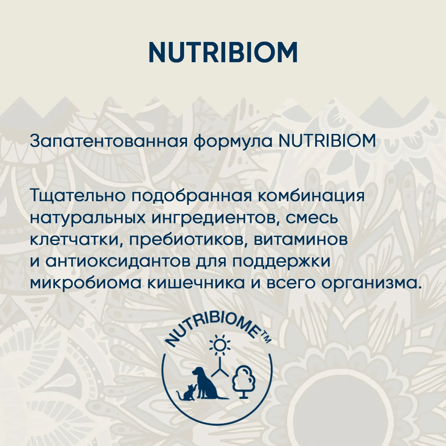 Сухой корм VIDA SUPER для для взрослых кошек с лососем и овощами 400 г