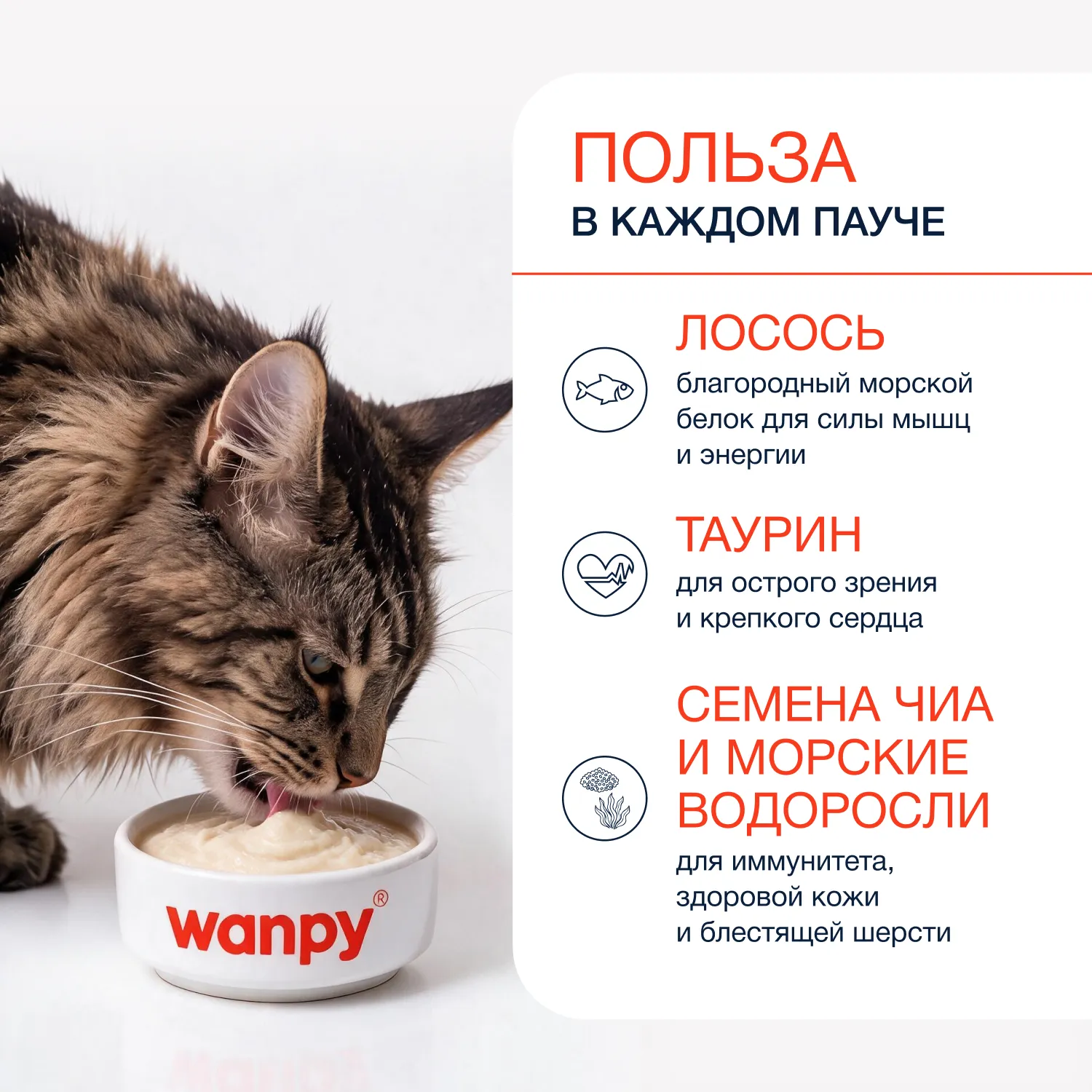 Wanpy Cat Лакомство для кошек «нежное пюре» из лосося с семенами чиа и водорослями 70 г