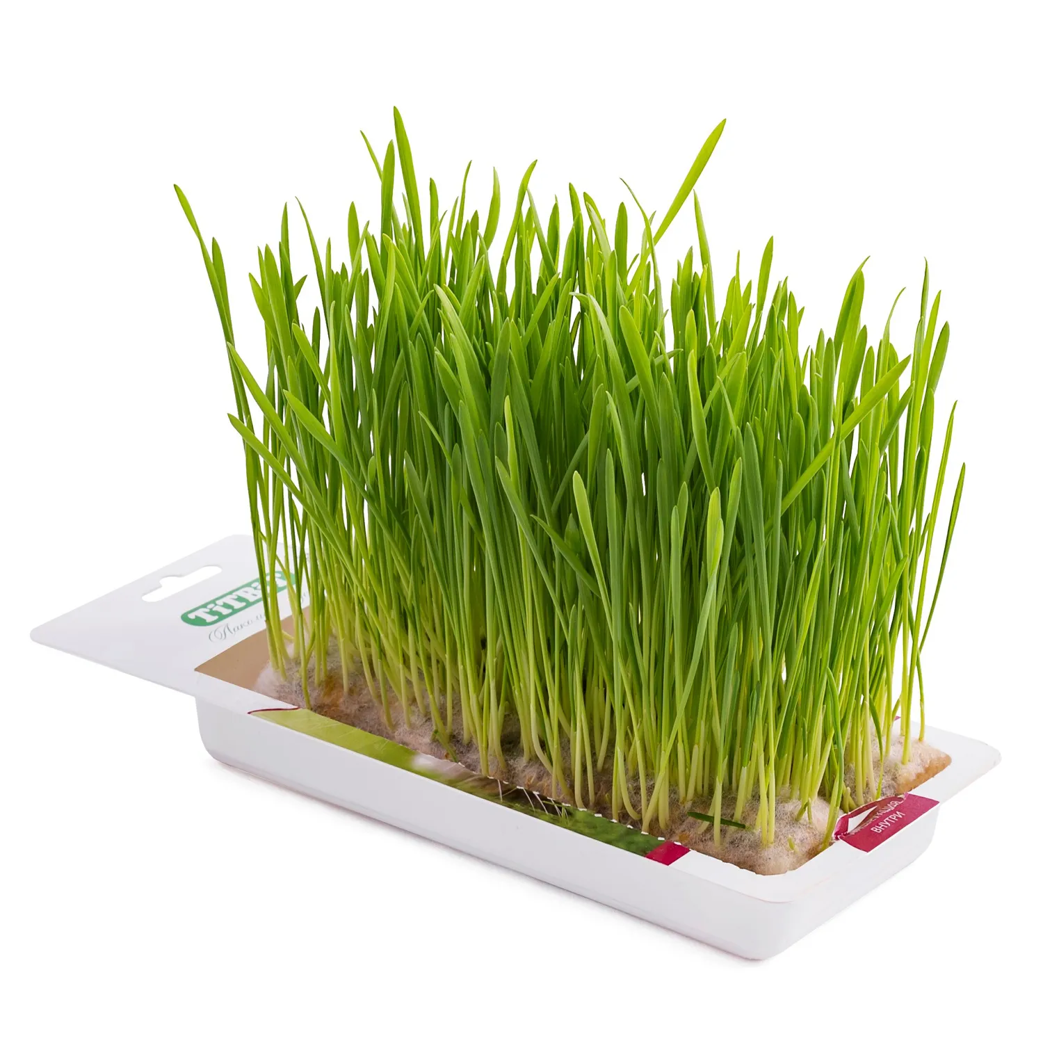 Трава TiTBiT для кошек овес 40г