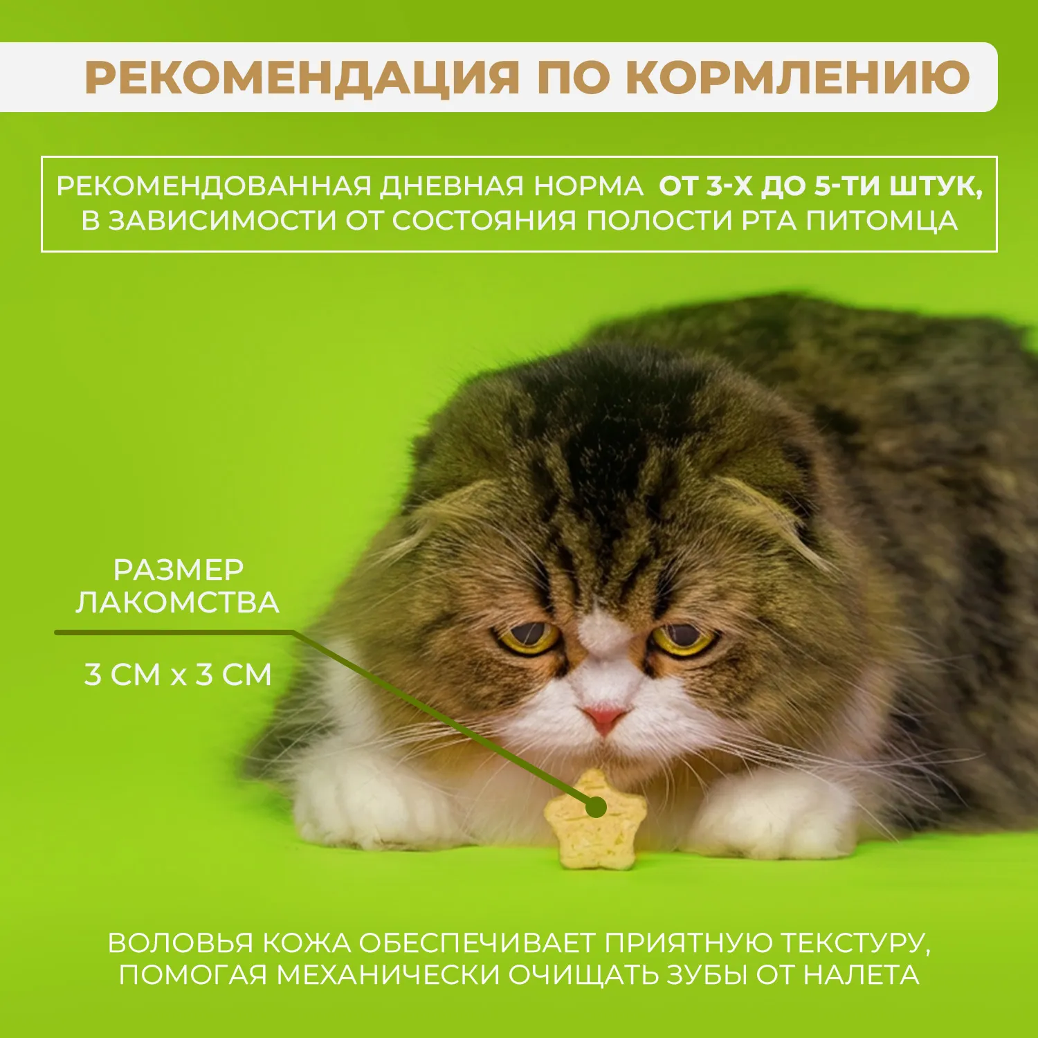 Лакомство Ranova для кошек сублимированное Звёздочка для зубов с курицей и морковью, 6 г