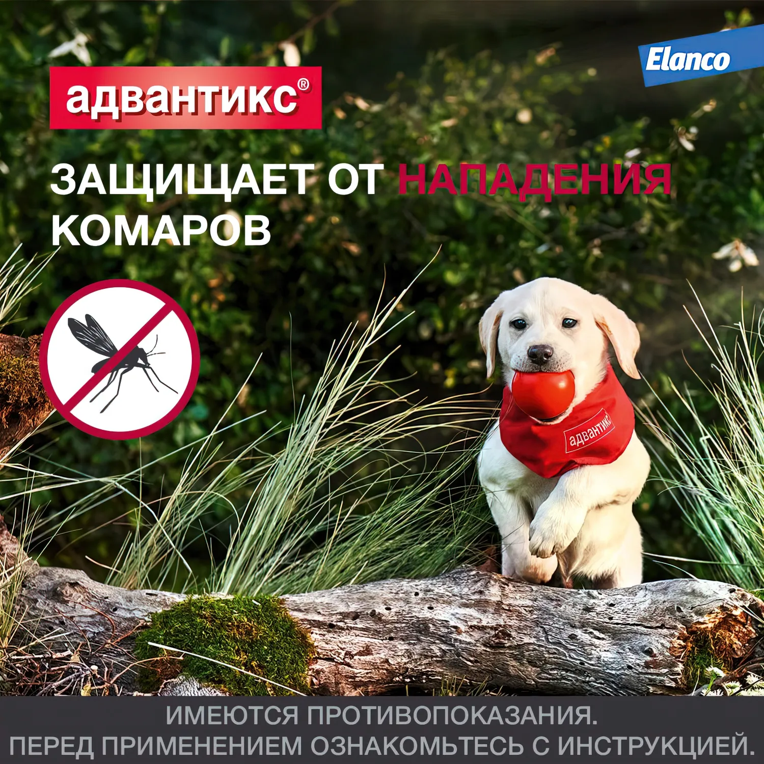 Bayer Адвантикс 250 С для собак 10-25 кг от блох, клещей и комаров (4 пипетки х 2,5 мл)