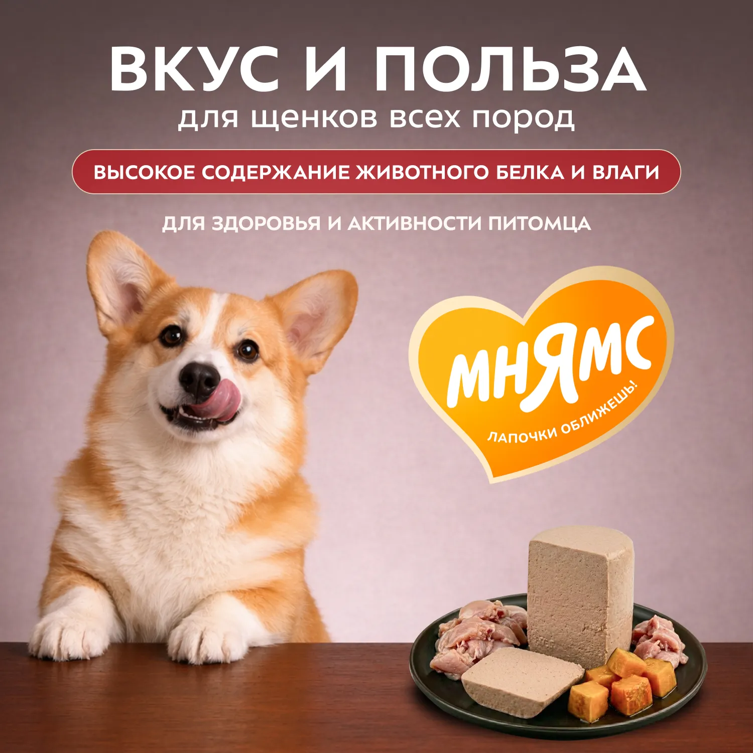 Влажный корм Мнямс Деликатес Паштет из перепёлки с тыквой для щенков всех пород "Потофё по-провански" 400 г