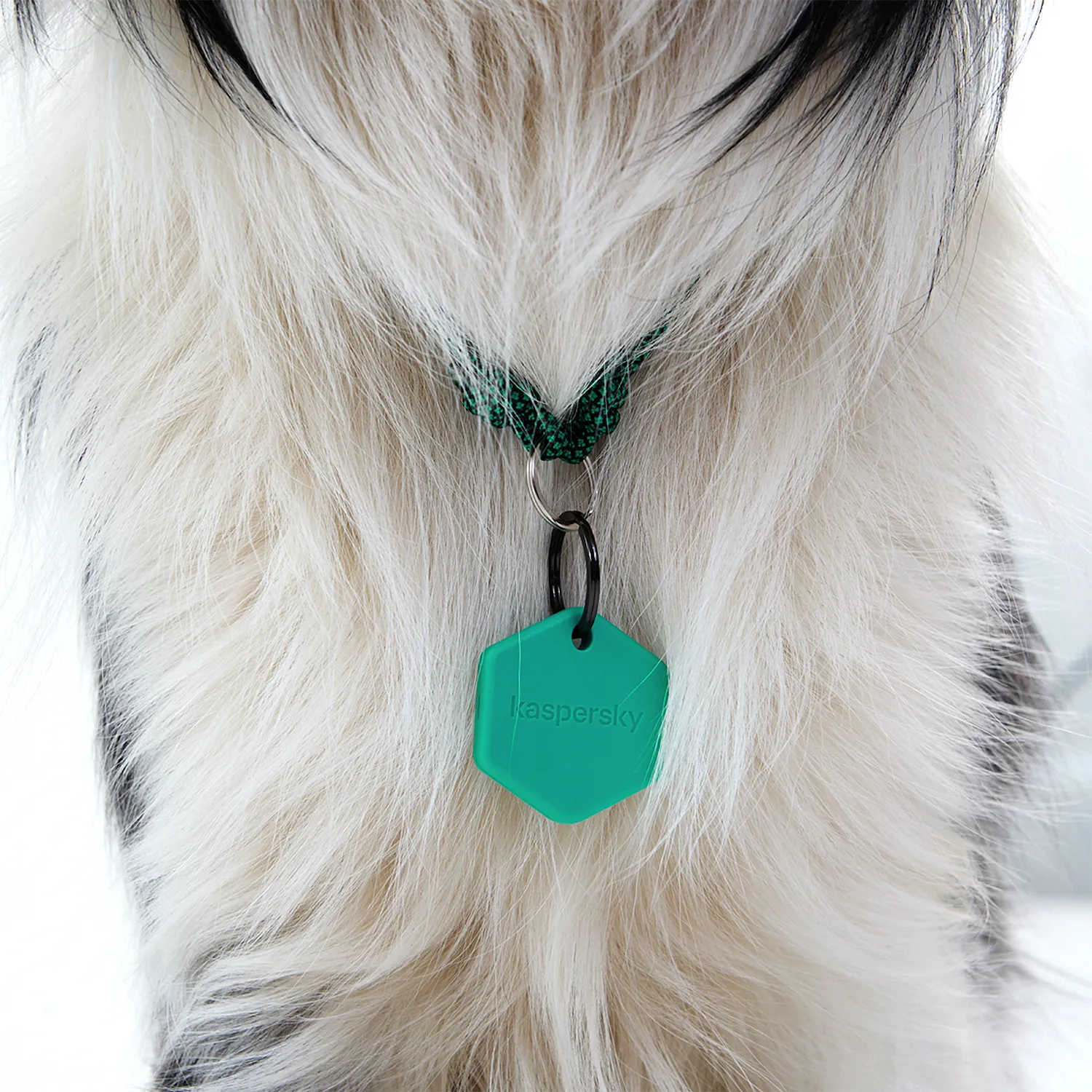 Умный трекер Kaspersky Tag с силиконовым чехлом
