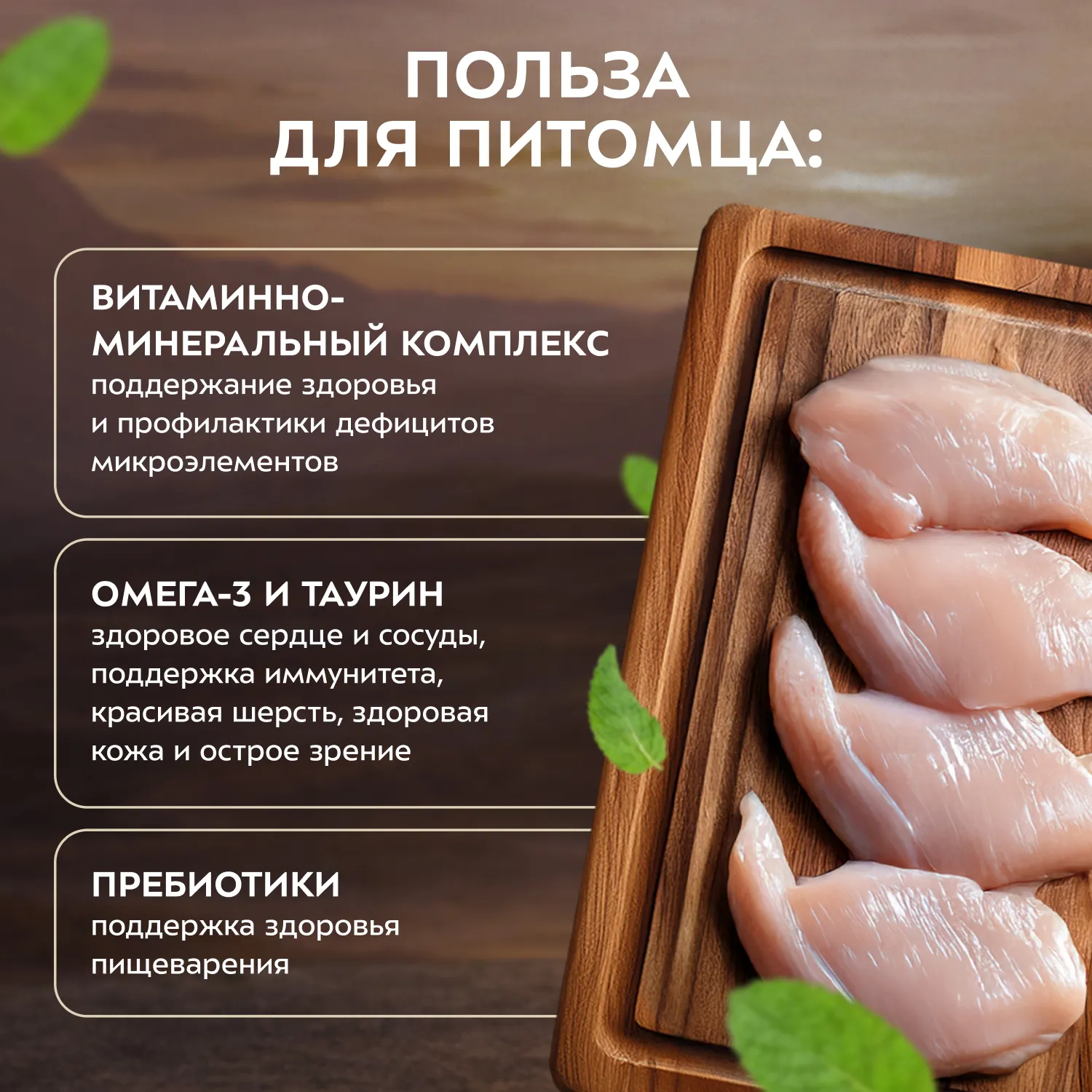 Влажный корм Мнямс Деликатес "Фондан" из мяса курицы с кошачьей мятой для кошек 80 г