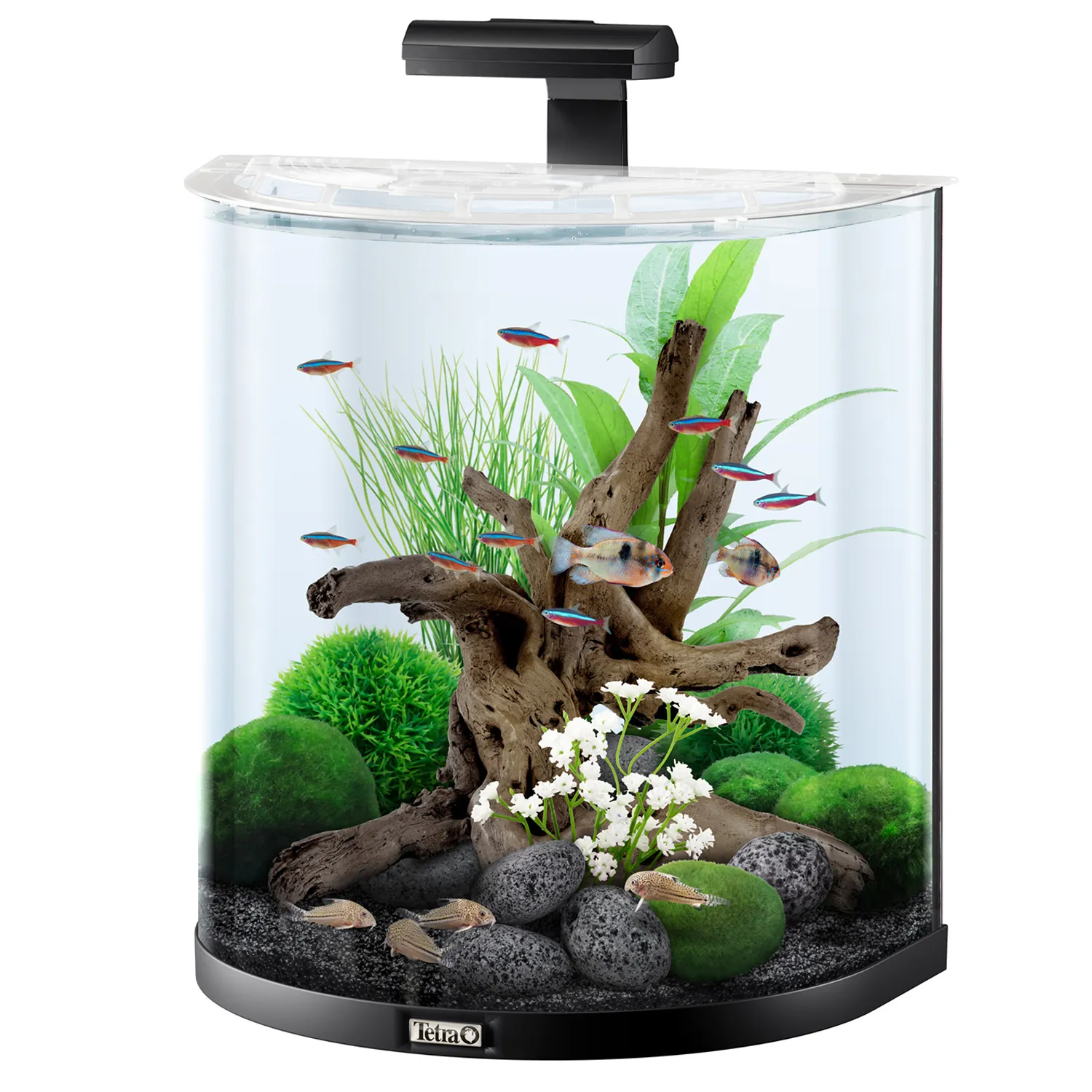Tetra AquaArt Explorer Line LED 60 л - аквариумный комплекс "Полумесяц" СКИДКА 40%