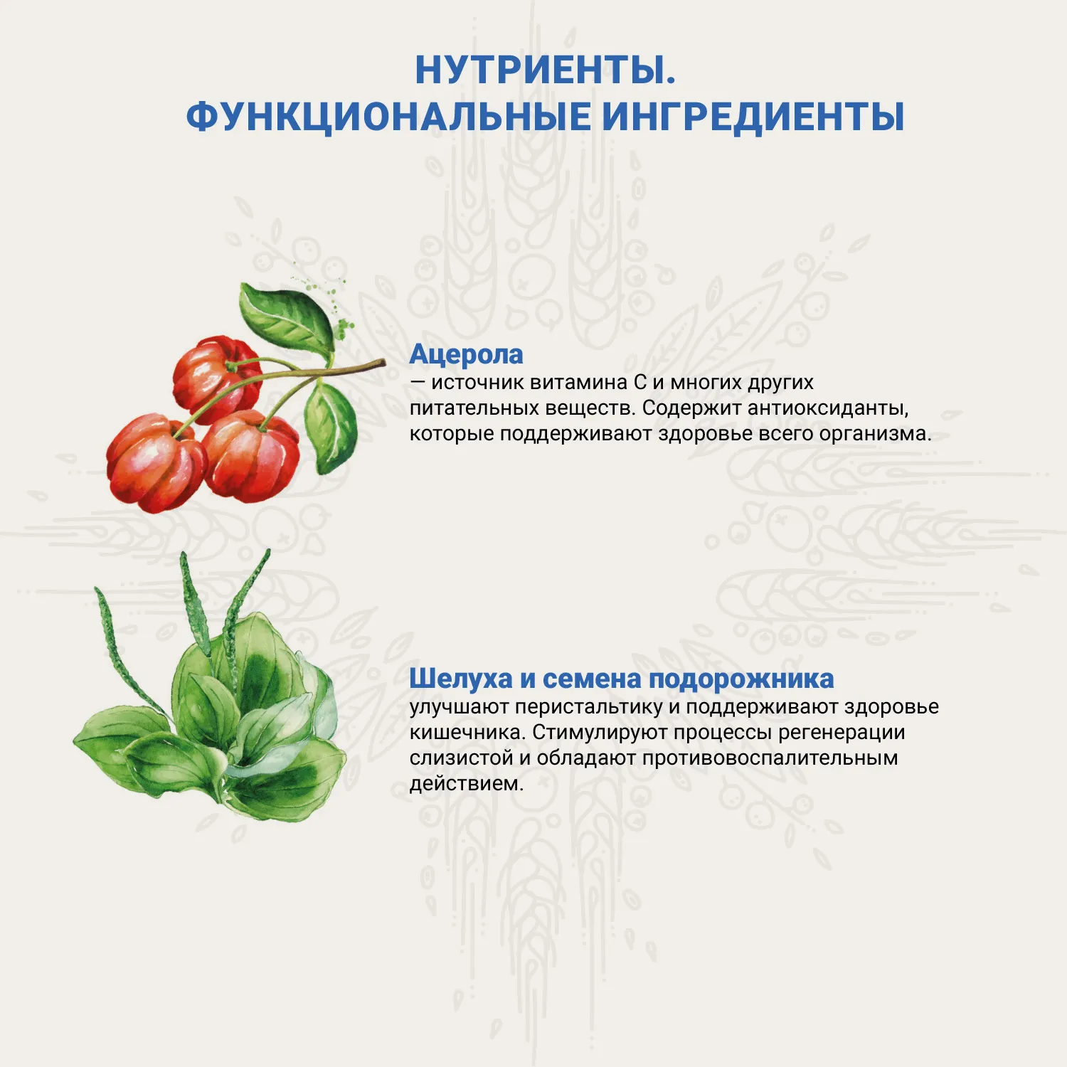 Ветеринарная диета CRAFTIA GALENA CAT RENAL CARE Ренал для кошек при почечной недостаточности 4,5 кг