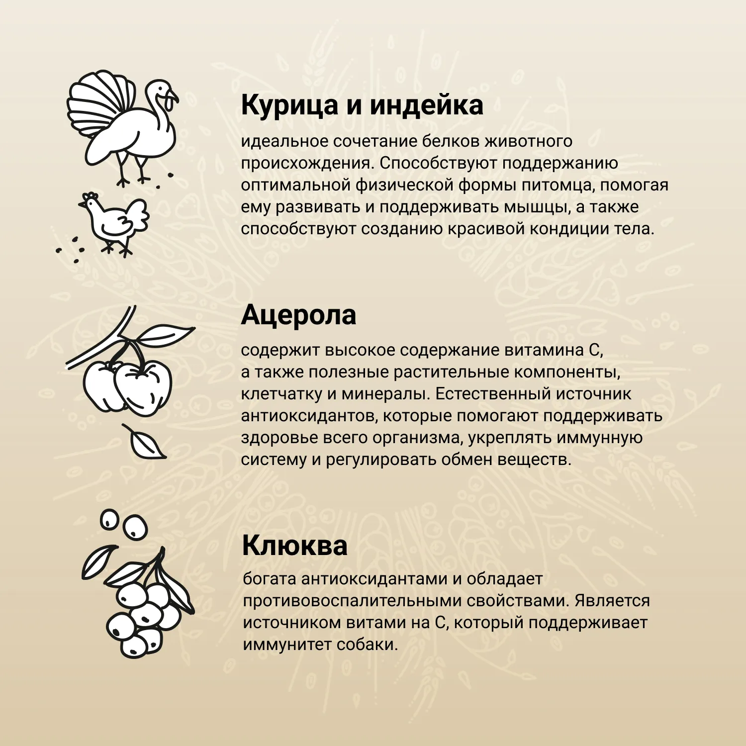 Сухой корм CRAFTIA NATURA для взрослых собак средних и крупных пород из курицы и индейки 2 кг