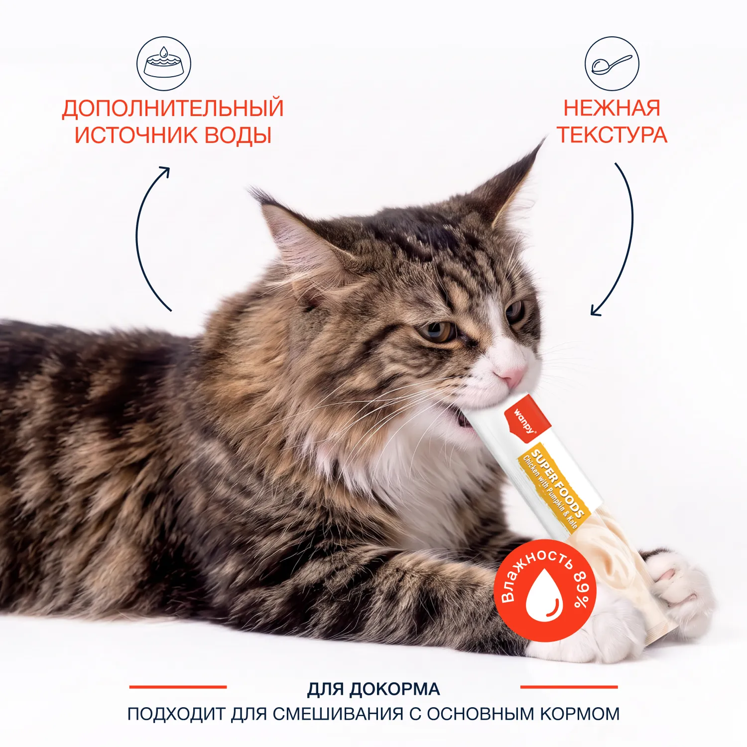 Wanpy Cat Лакомство для кошек «нежное пюре» из курицы с тыквой и кейлом 70 г