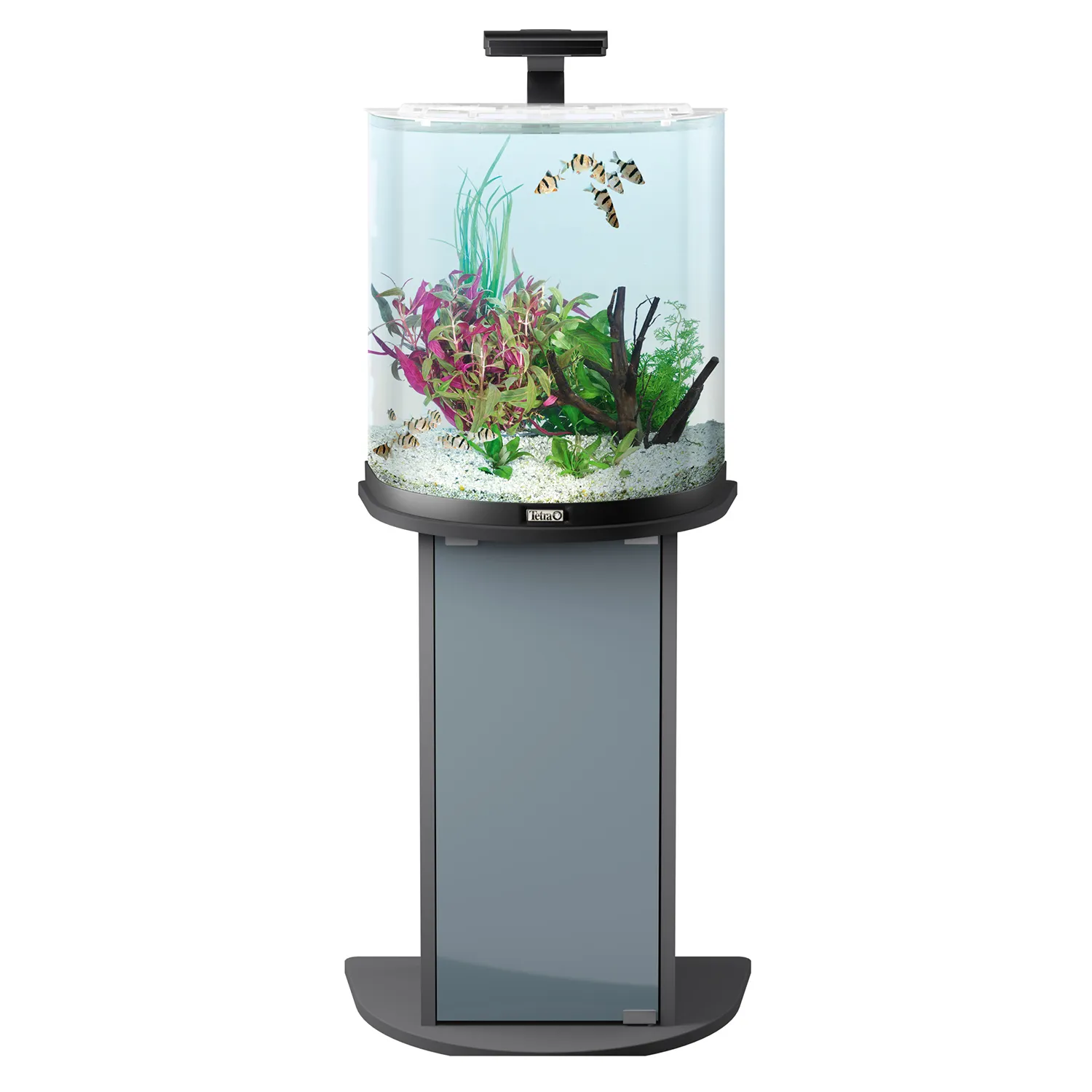 Tetra AquaArt Explorer Line LED 60 л - аквариумный комплекс "Полумесяц" СКИДКА 40%