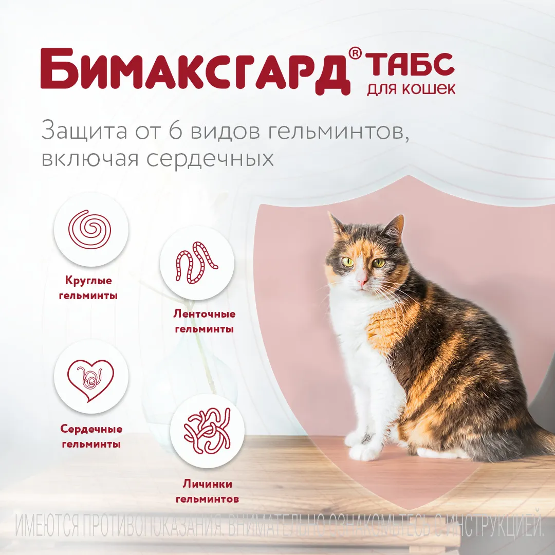 Бимаксгард® ТАБС антигельминтный препарат для котят и маленьких кошек, 2 таб.