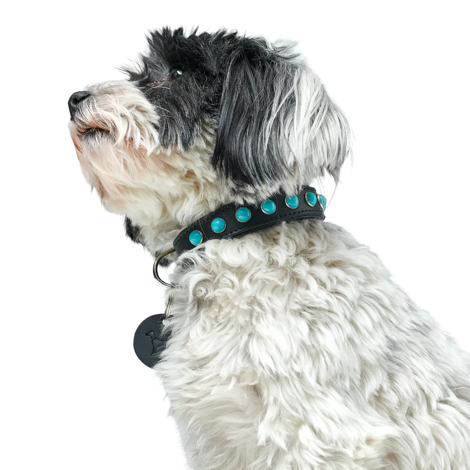 Hunter ошейник для собак Modica XS-S (24-30 см) натуральная кожа, черный, фурнитура с имитацией бирюзы СКИДКА 40%