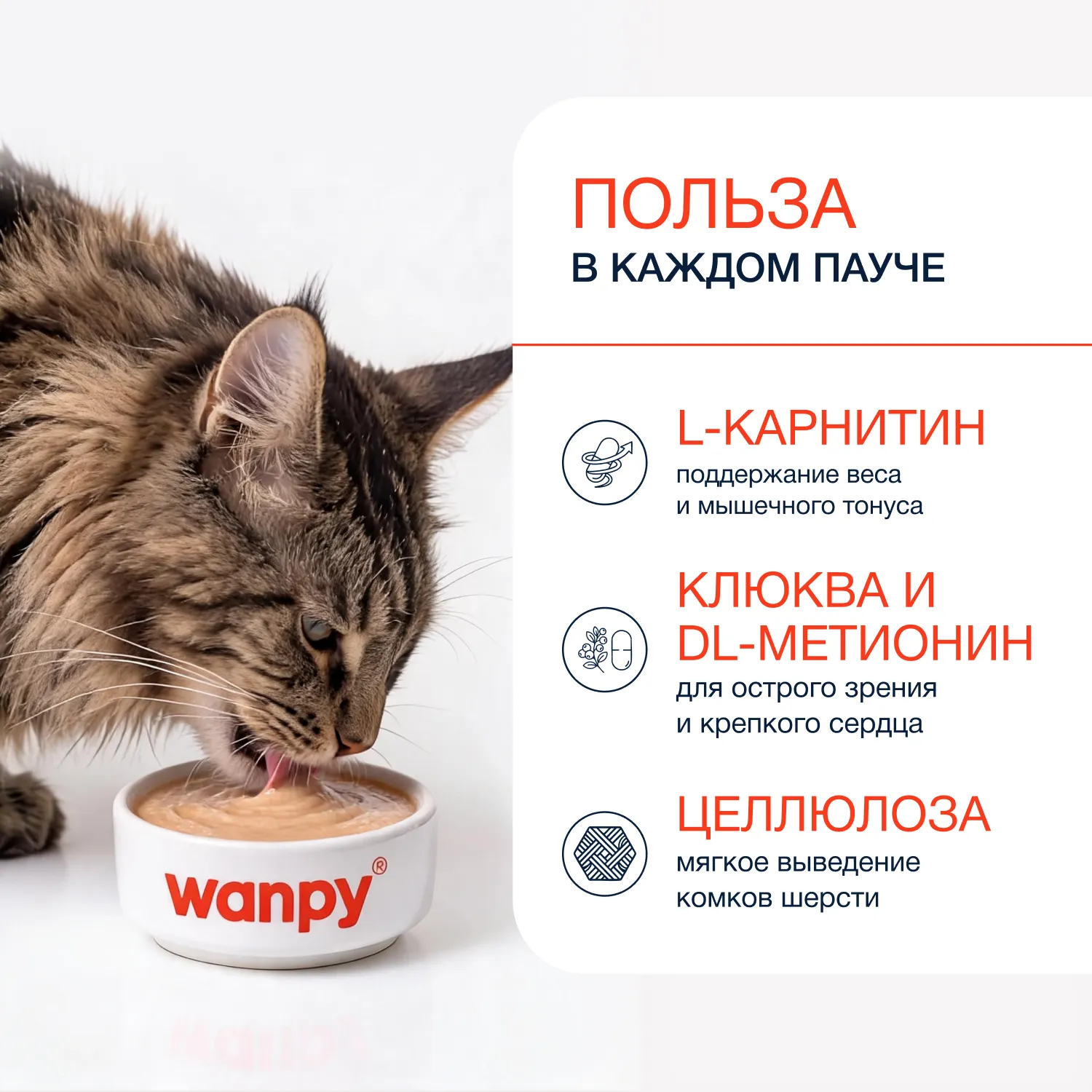 Wanpy Cat Лакомство для стерилизованных кошек «нежное пюре» из тунца с клюквой 70 г