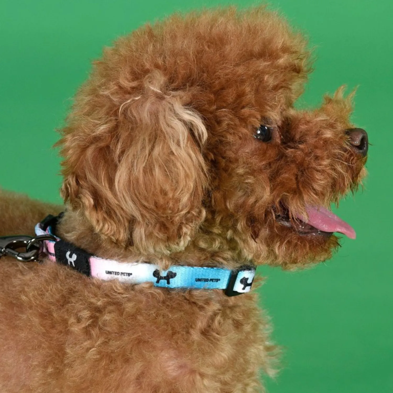 Ошейник United Pets для собак Complete me XS 10 x 180/300mm, розово-голубой тай-дай СКИДКА 30%